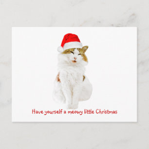 Cat with Santa's Hat Postcard