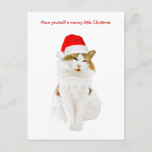 Cat with Santa's Hat Postcard