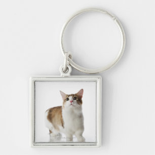 Cat with short feet key ring
