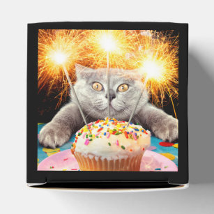 Cat With Sparkler Cupcake Favour Box