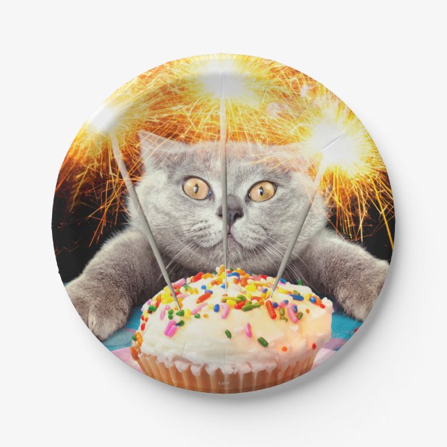 Cat With Sparkler Cupcake Paper Plate (Front)