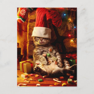 Cat With Stocking on Head Invitation Postcard