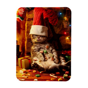Cat With Stocking on Head Magnet