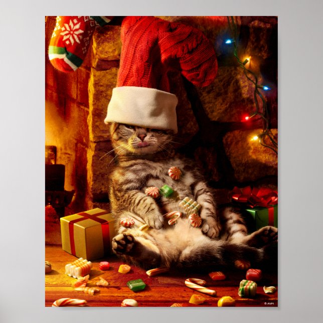 Cat With Stocking on Head Poster (Front)