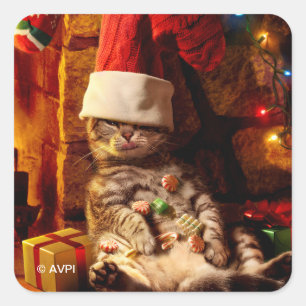 Cat With Stocking on Head Square Sticker