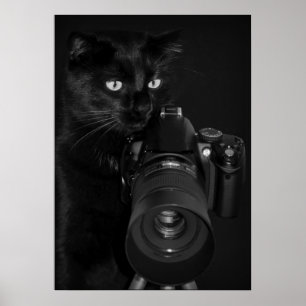 Cat with the camera poster