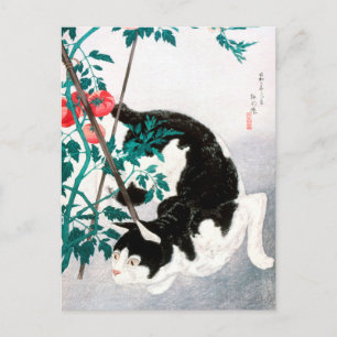 Cat with Tomato Plant (1931) by Hiroaki Takahashi Postcard