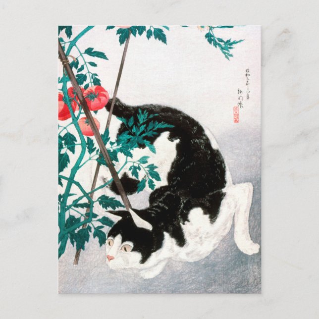 Cat with Tomato Plant (1931) by Hiroaki Takahashi Postcard (Front)