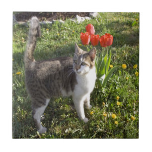 Cat With Tulips Ceramic Tile