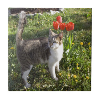 Cat With Tulips Ceramic Tile