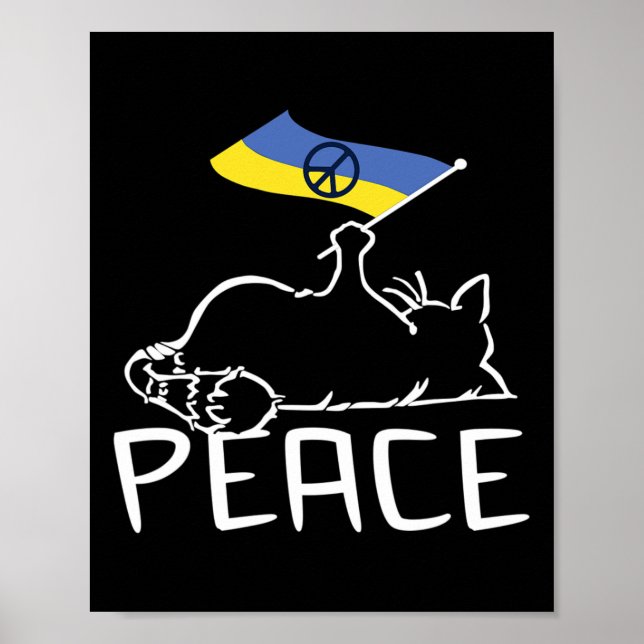 Cat With Ukraine Flag  Poster (Front)