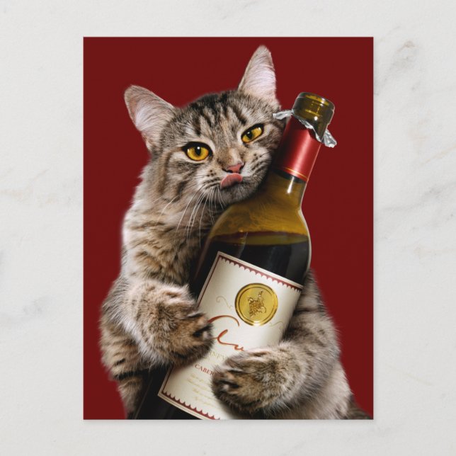 Cat With Wine Bottle Invitation Postcard (Front)