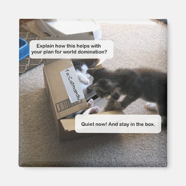 Cat World Domination Magnet (Front)