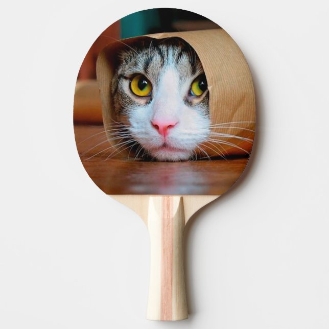 Cat wrapped in a brown paper ping pong paddle (Front)