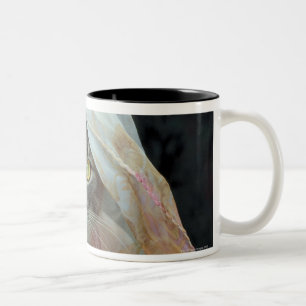Cat wrapped in cloth Two-Tone coffee mug