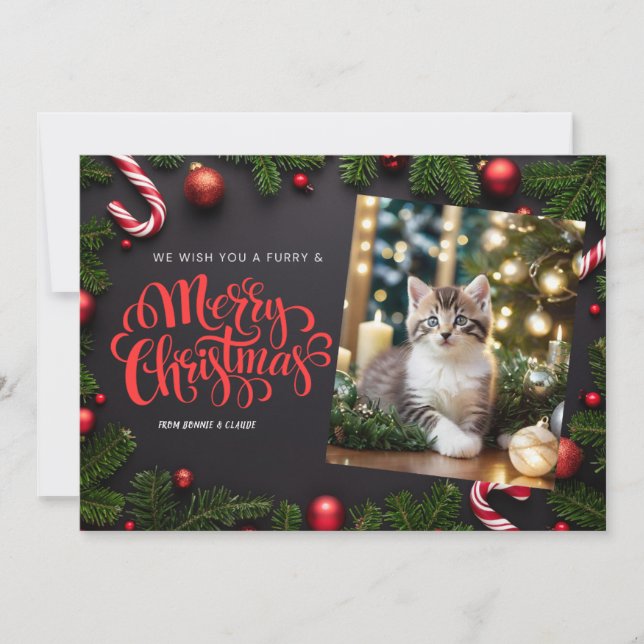 cat xmas greeting card (Front)