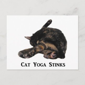 Cat Yoga Stinks Postcard