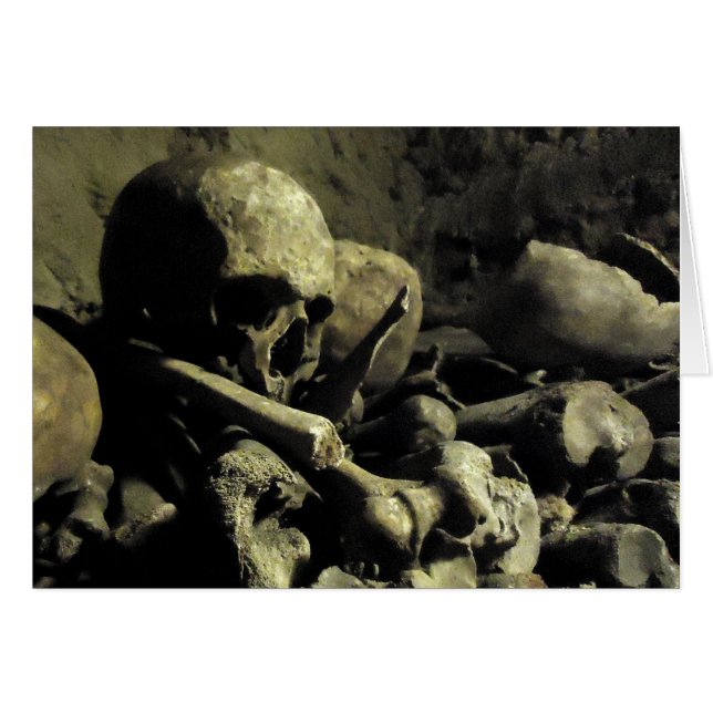 catacomb bones (Front Horizontal)