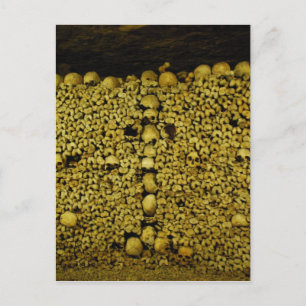 Catacombs of Paris Postcard