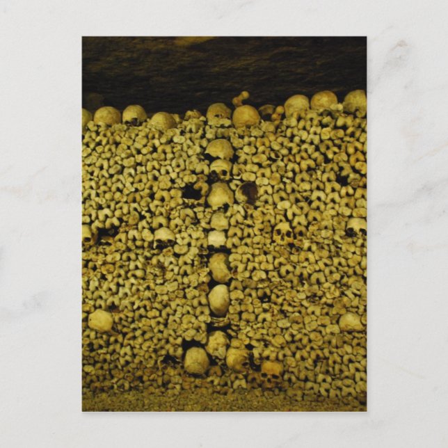 Catacombs of Paris Postcard (Front)
