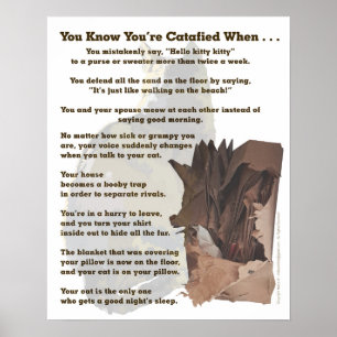 Catafied. Only a cat lover would understand. Poster