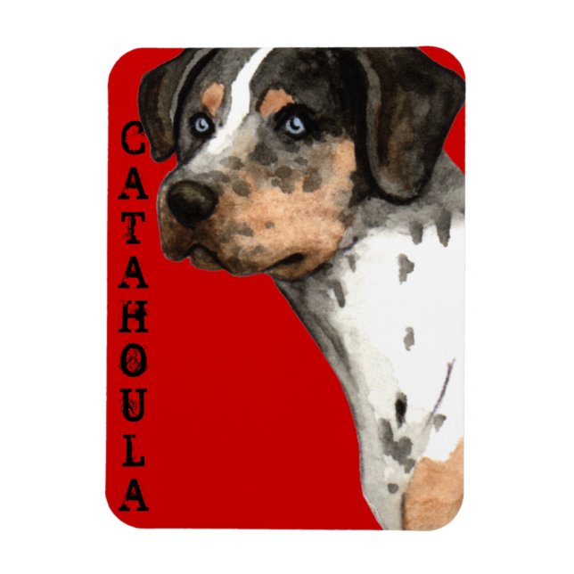 Catahoula Colour Block Magnet (Vertical)