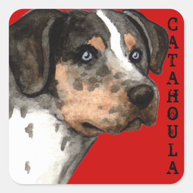 Catahoula Colour Block Square Sticker (Front)