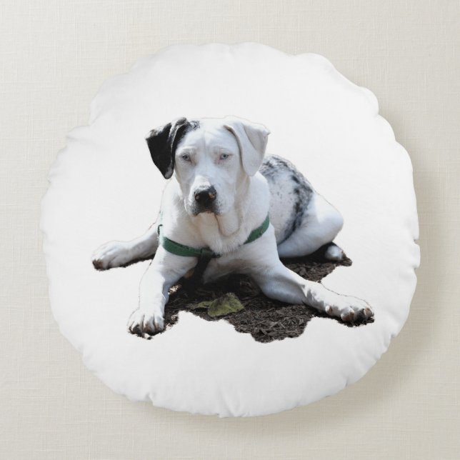 Catahoula Cur Laying Down Round Cushion (Front)