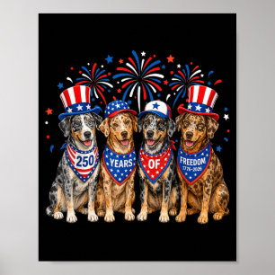 Catahoula Dog Usa Independence 250th Anniversary Poster
