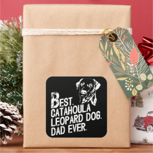 Catahoula Leopard Dad Ever, Dog Owner Vintage Square Sticker