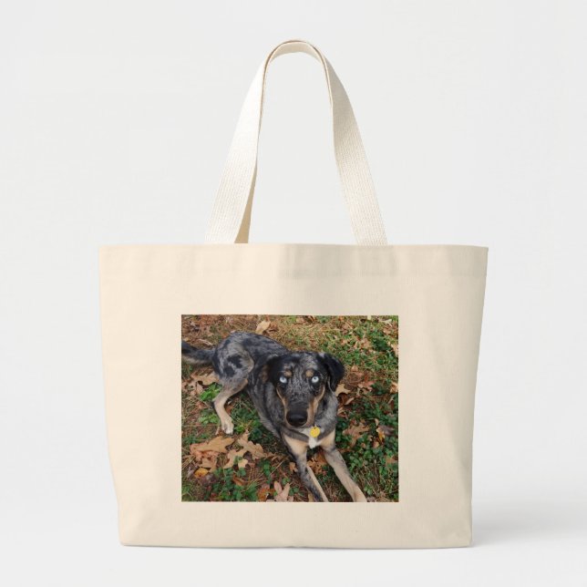 Catahoula Leopard Dog Laying Down Large Tote Bag (Front)