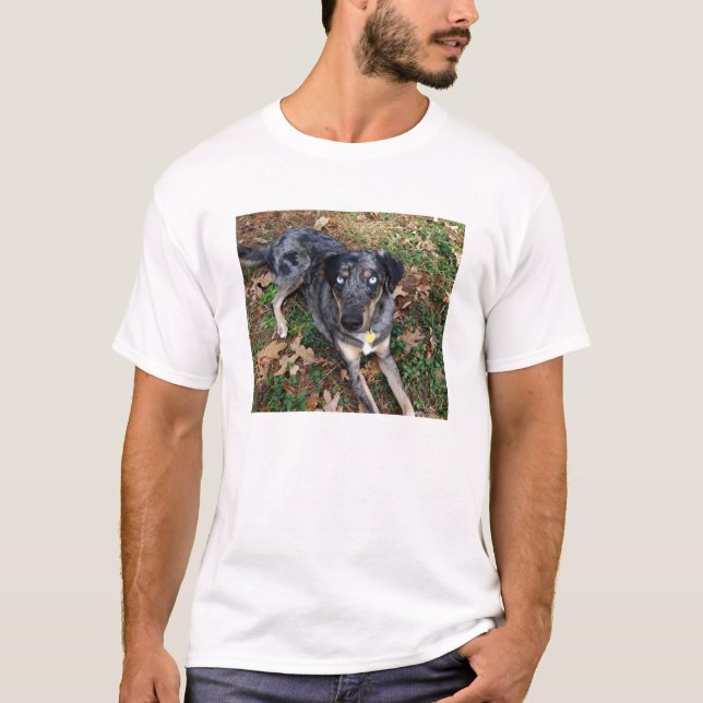 Catahoula Leopard Dog Laying Down T-Shirt (Front)