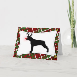Catahoula Leopard Dog Reindeer Christmas Card