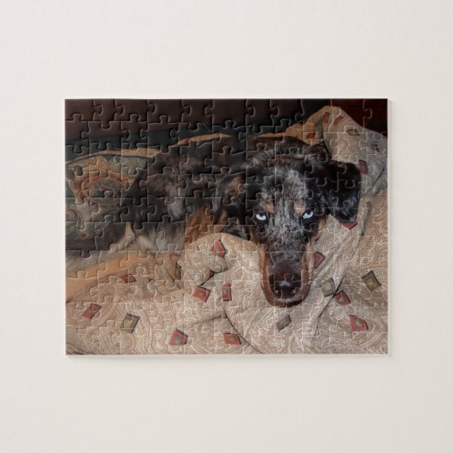 Catahoula Leopard Dog Snoozing Jigsaw Puzzle (Horizontal)