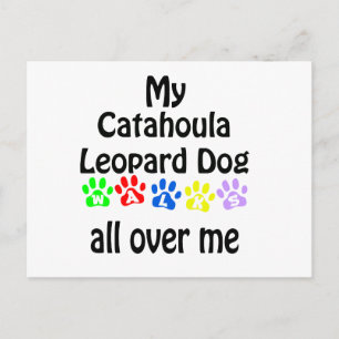 Catahoula Leopard Dog Walks Design Postcard