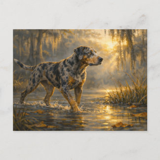 Catahoula Sunrise | Hunting Dog Art | Postcard