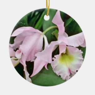 Catalaya orchid flowers ceramic ornament