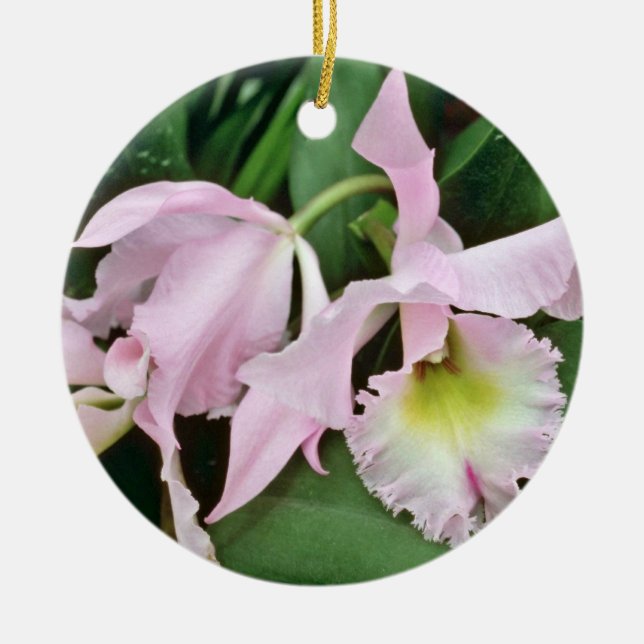 Catalaya orchid  flowers ceramic ornament (Front)