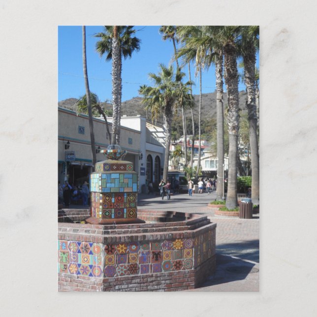 Catalina, California Postcard (Front)