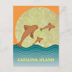 Catalina Flying Fish Postcard
