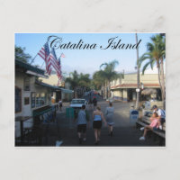 Catalina Island 6