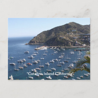 , "Catalina Island California" Postcard