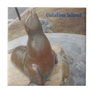 CATALINA ISLAND CERAMIC TILE THE BEN