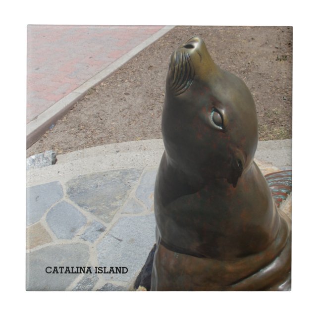 CATALINA ISLAND CERAMIC TILE THE NOSE (Front)