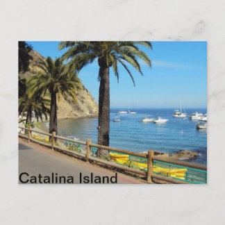 Catalina Island Post card