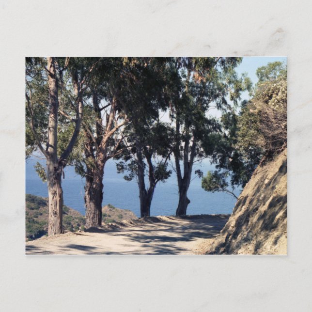 Catalina Island Postcard (Front)