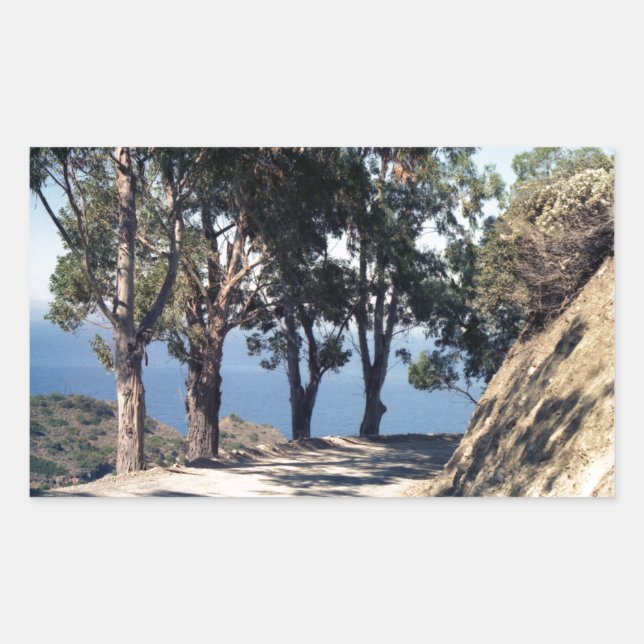 Catalina Island Rectangular Sticker (Front)