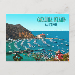 Catalina Island Santa Catalina California Vintage Postcard