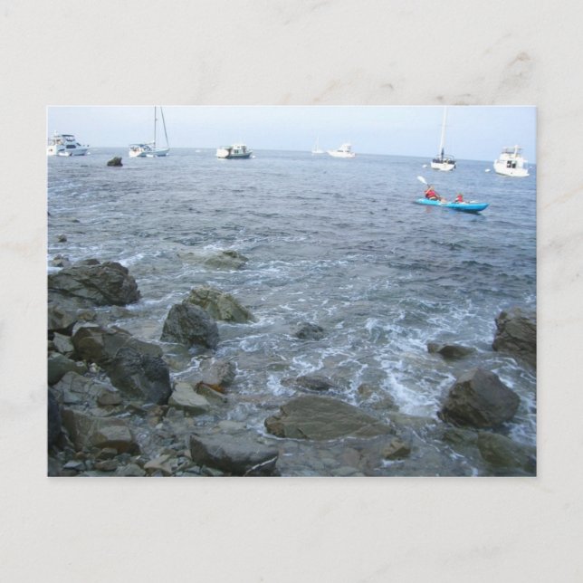 Catalina Island shore Postcard (Front)