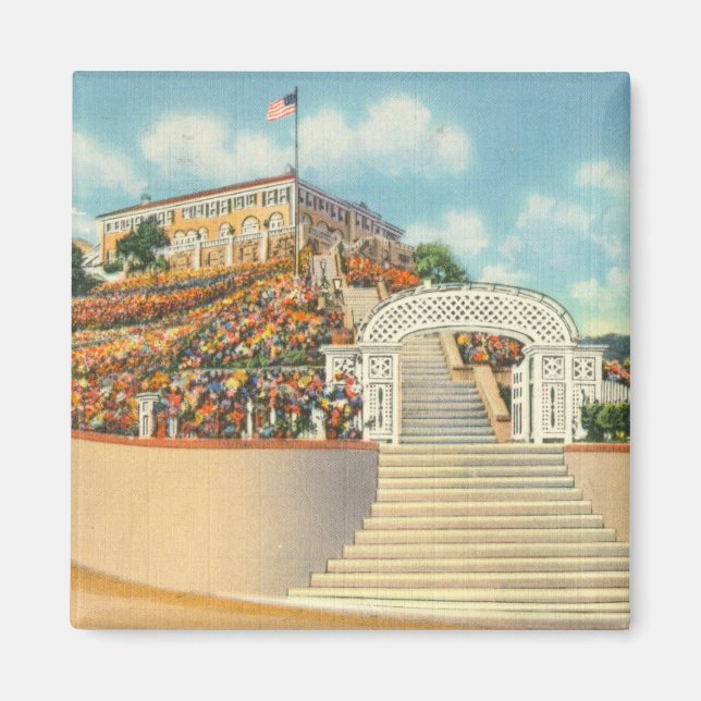 Catalina Magnet (Front)